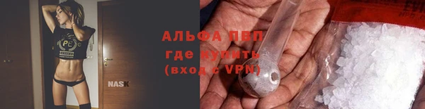 PSILOCYBIN Белоозёрский