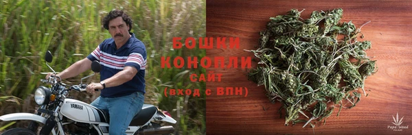 таблы Белокуриха