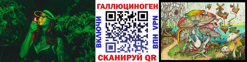 kraken ССЫЛКА  Дигора  нарко площадка состав  Галлюциногенные грибы MAGIC MUSHROOMS 