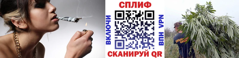 Шишки марихуана SATIVA & INDICA  мега как войти  Дигора 